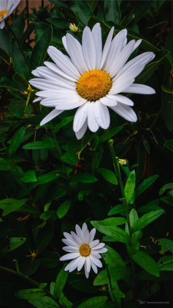 Image gallery image