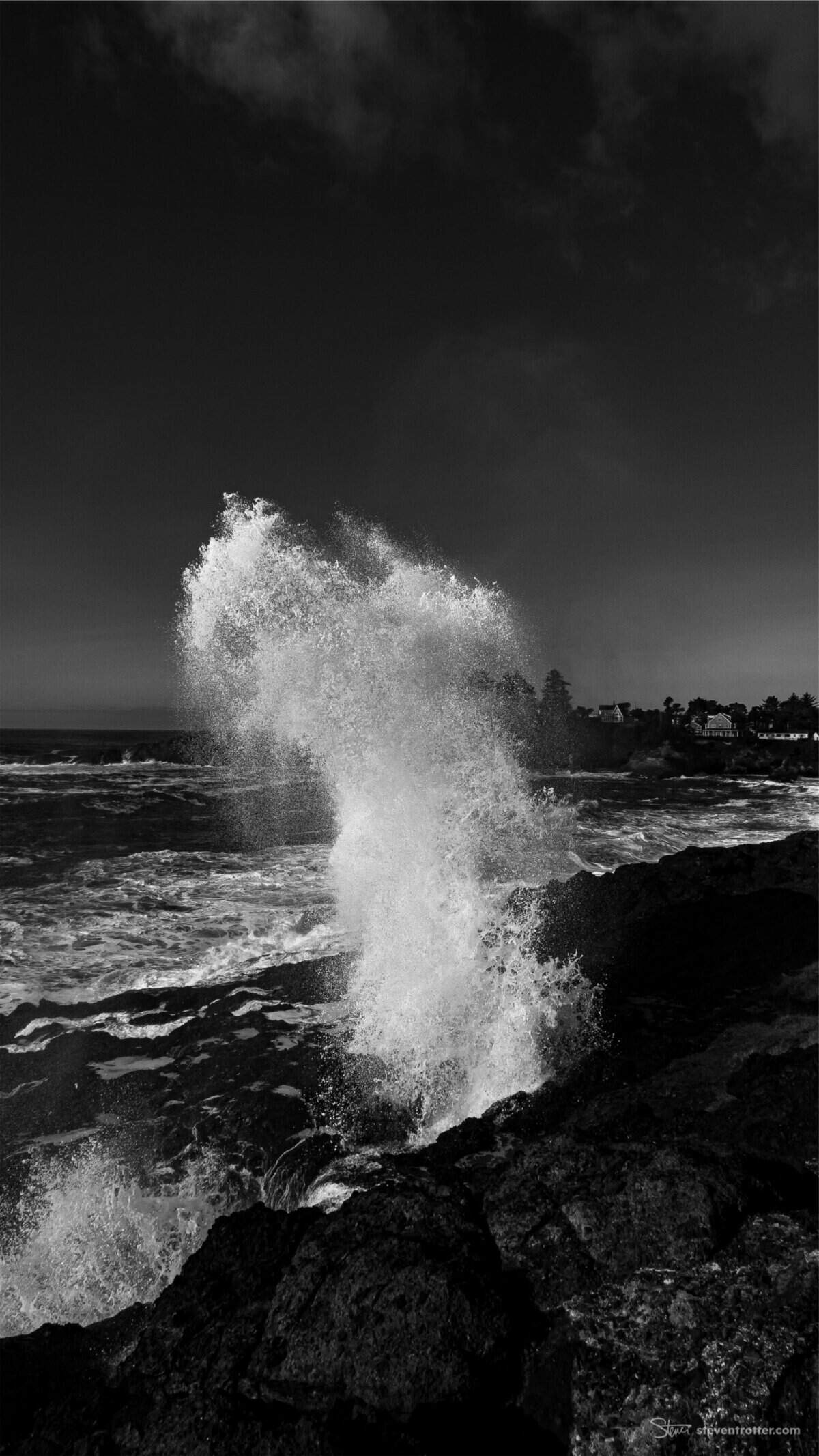 Image gallery image