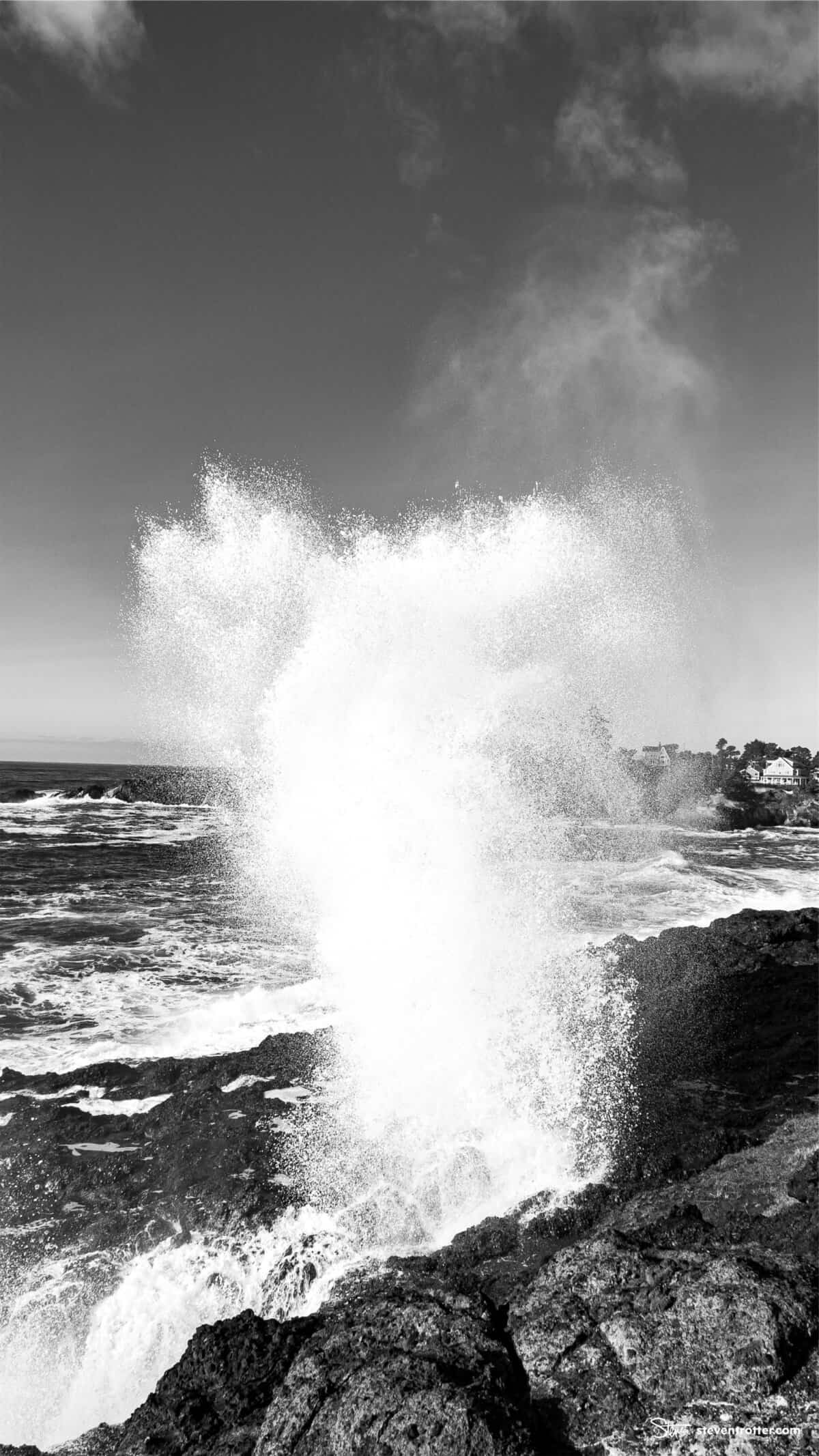 Image gallery image