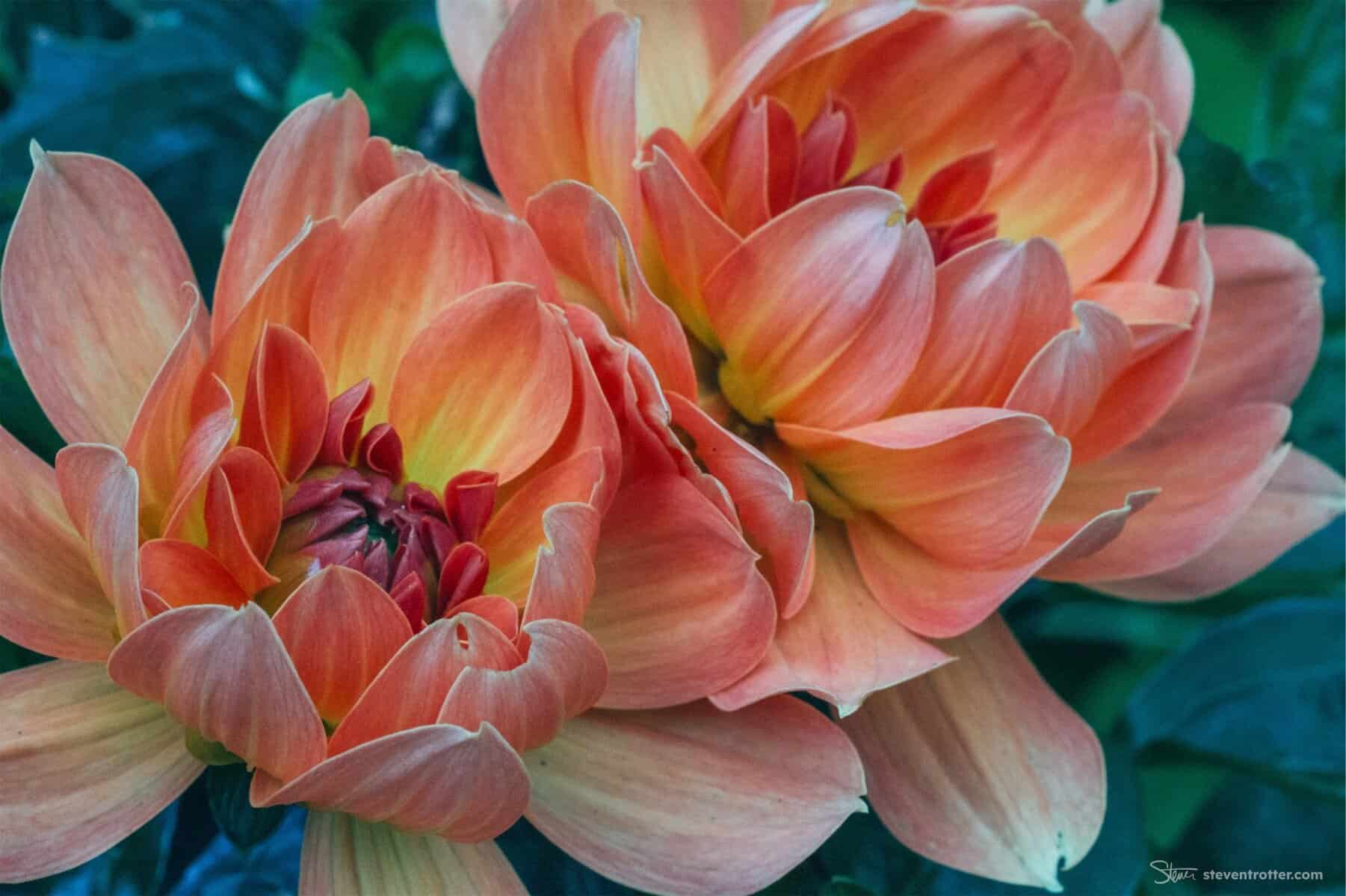 Image gallery image