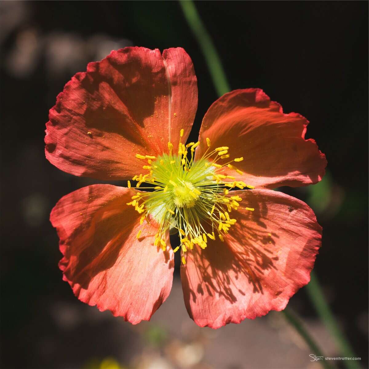 Image gallery image