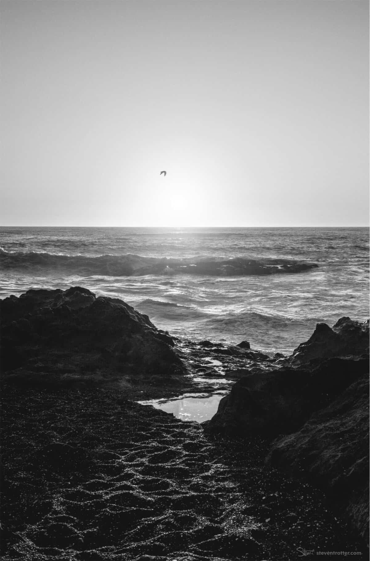 Image gallery image