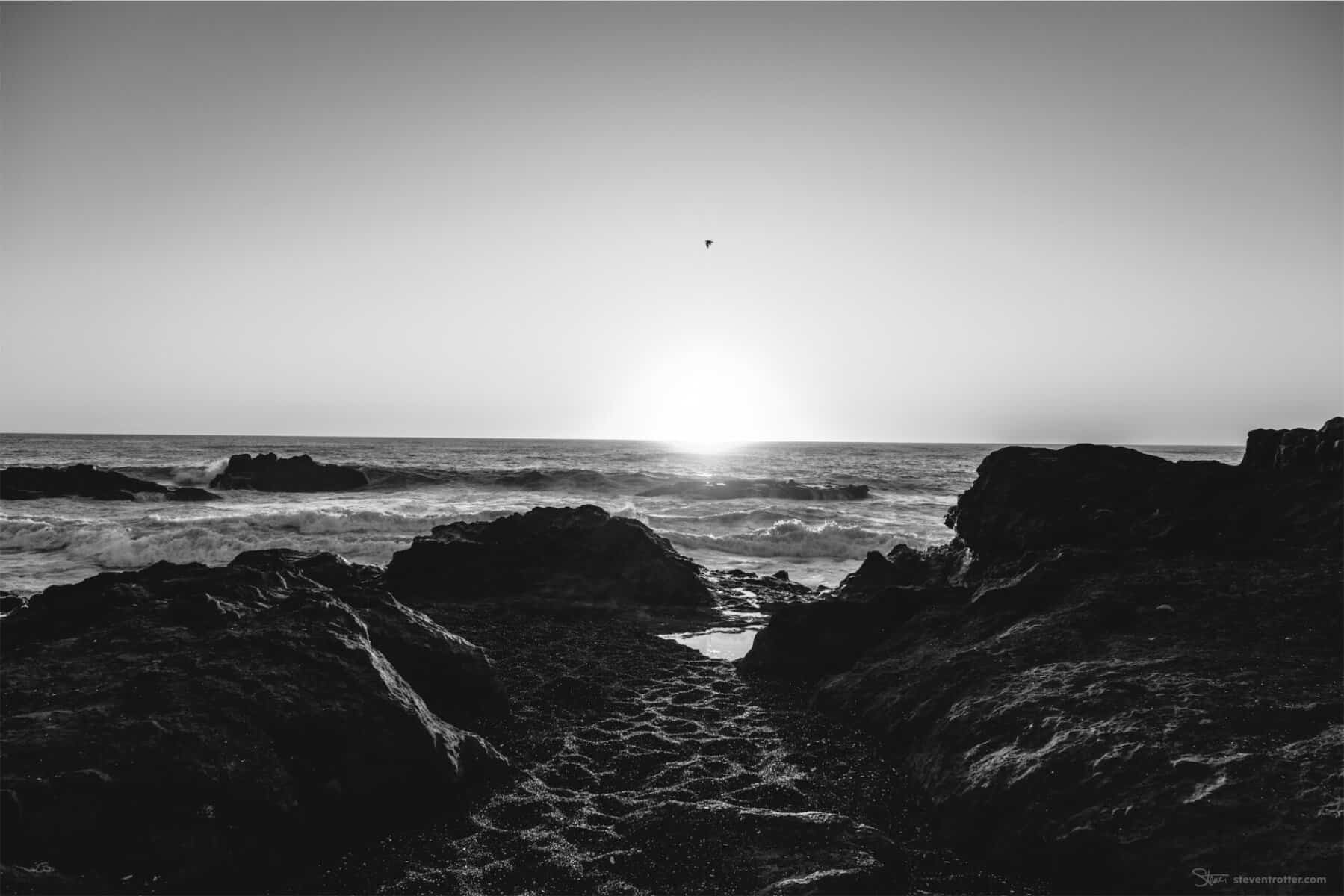 Image gallery image