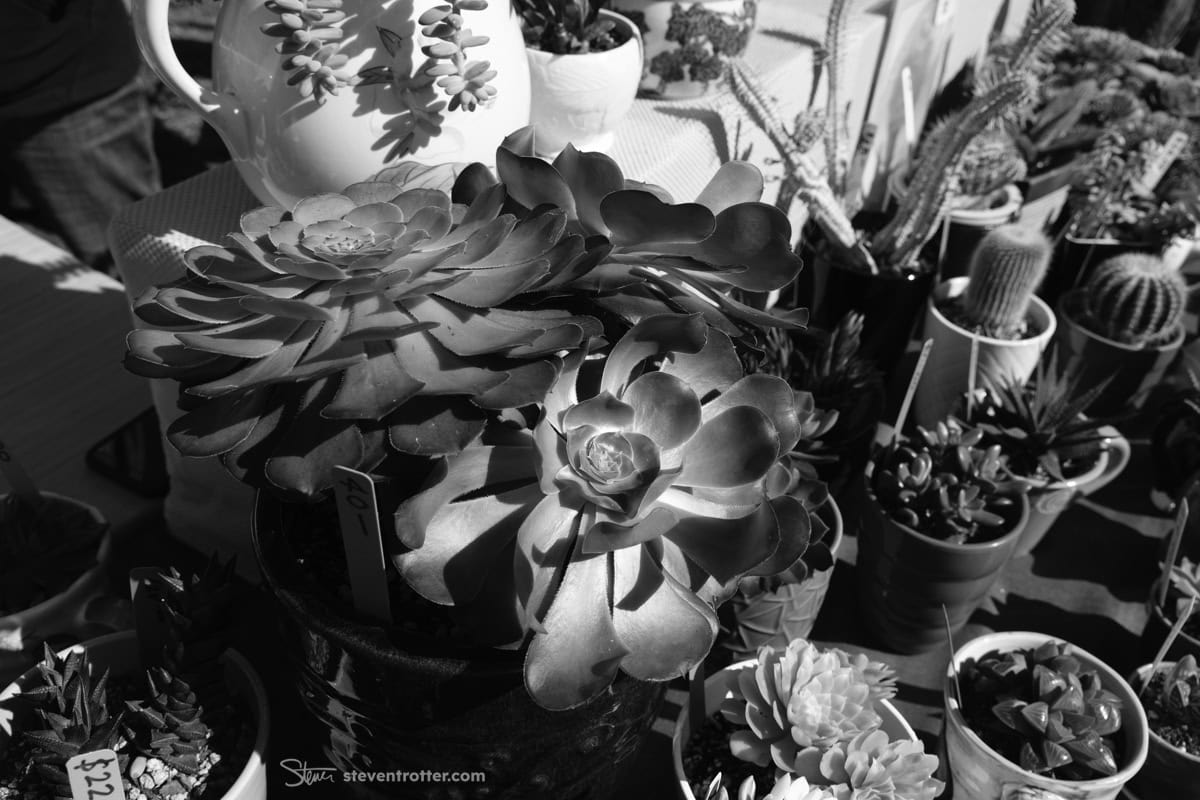 Image gallery image
