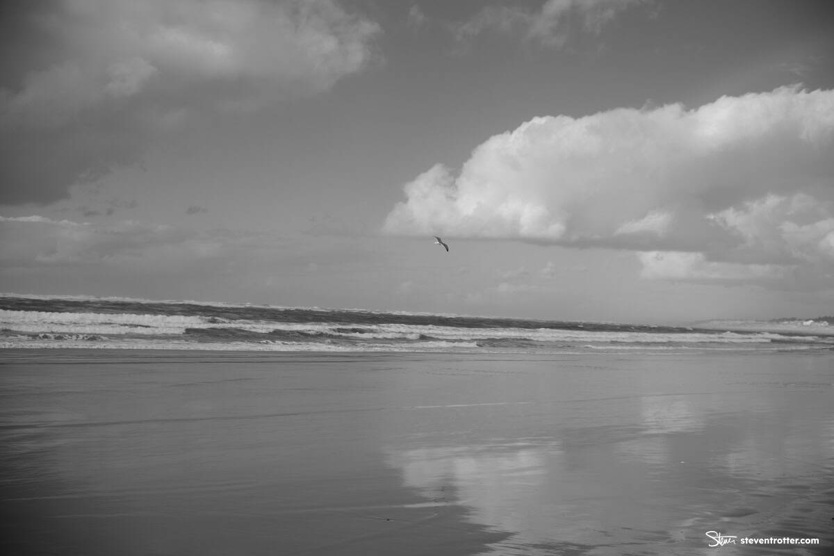 Image gallery image
